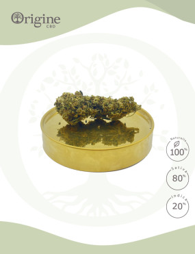 GrapeFruit CBD