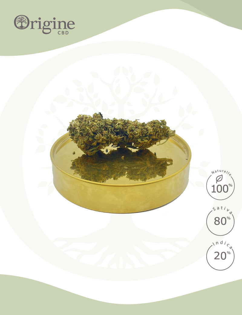 GrapeFruit CBD