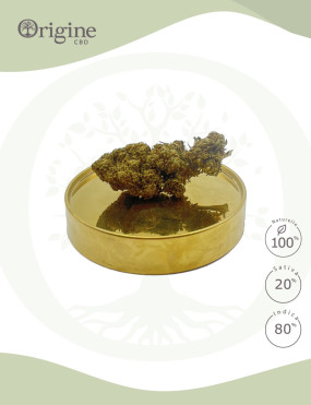 BZ1 CBD