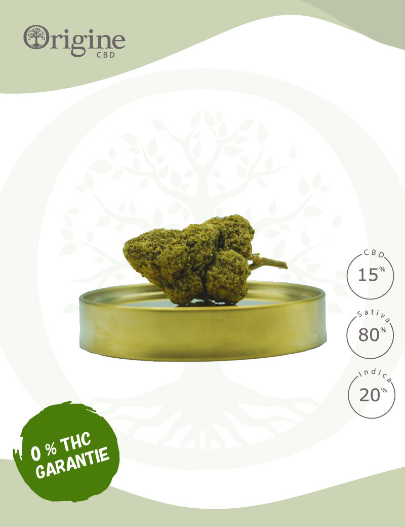 White Widow 15 % CBD (Sans THC)
