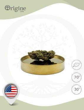 California Haze USA BIO CBD