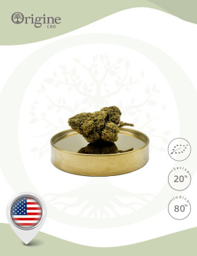 Ice Cream Cake USA BIO CBD