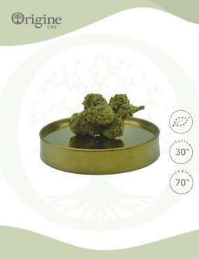 Alien Kush BIO CBD