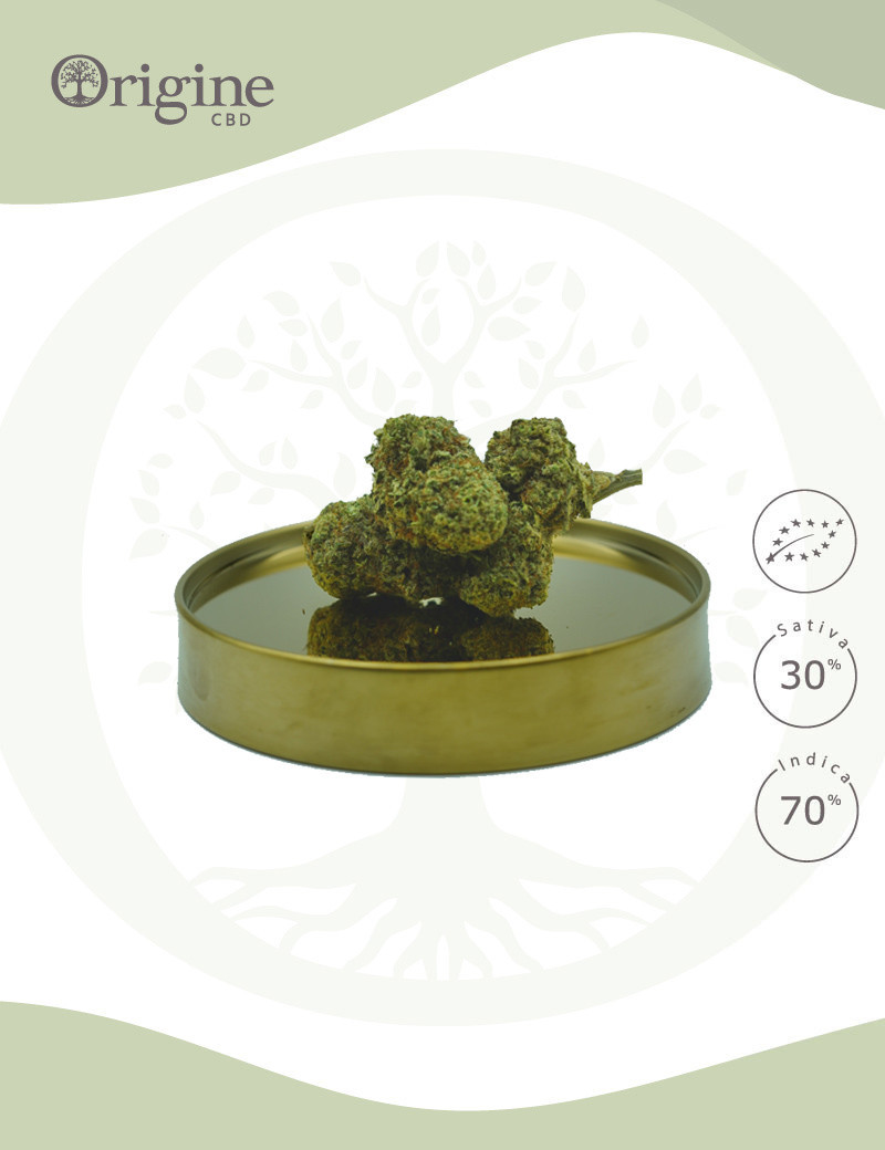 Alien Kush BIO CBD Alien Kush BIO CBD