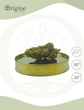 Purple Haze BIO CBD