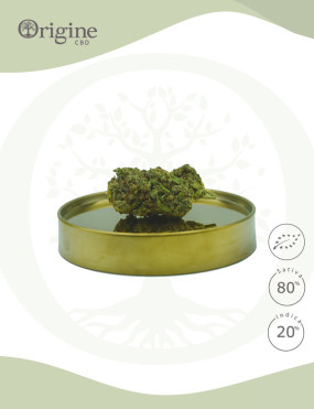 White Widow Haze BIO CBD