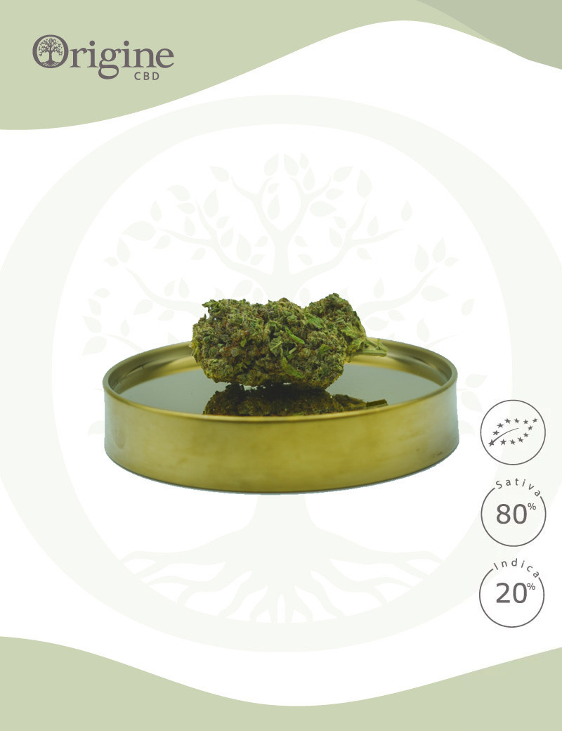 White Widow Haze BIO CBD