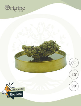 Northern Light BIO CBD
