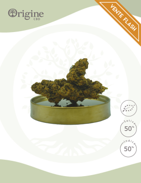 Tutti Frutti BIO CBD 25 grammes