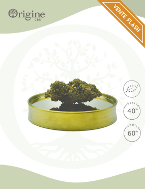 Banana Smash BIO CBD 25 grammes