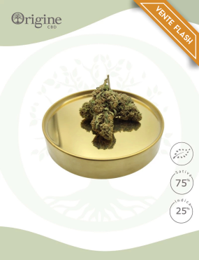 Strawberry Diesel BIO CBD 25 grammes