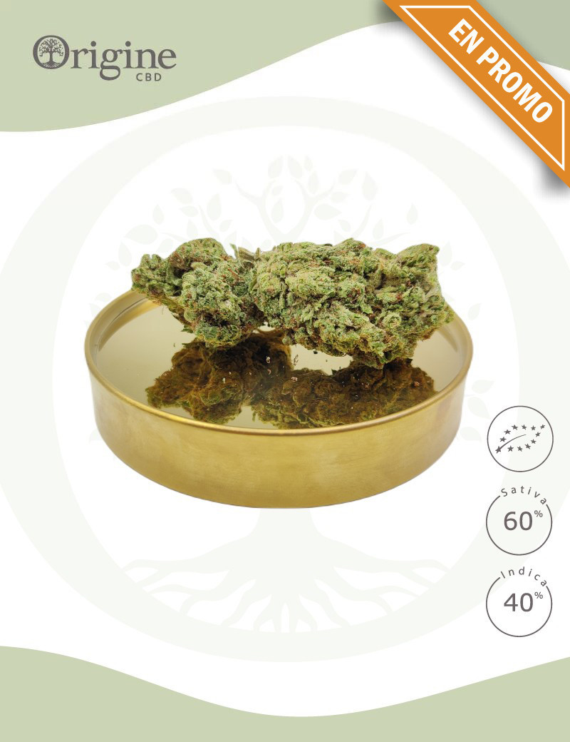 Fruit Spirit BIO CBD Fruit Spirit BIO CBD