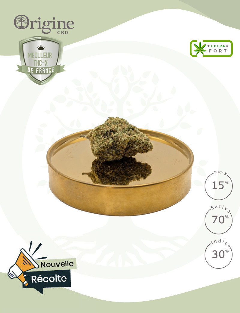 Mimosa 15 % THC-X Mimosa 15 % THC-X