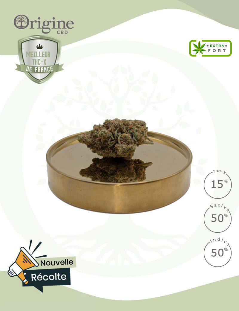 Zkittlez OG 15 % THC-X Zkittlez OG 15 % THC-X