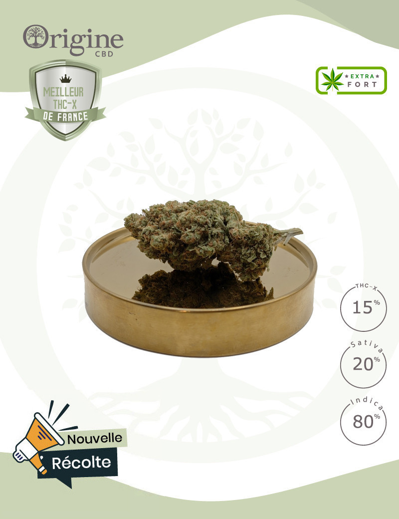 Biscotti 15 % THC-X Biscotti 15 % THC-X