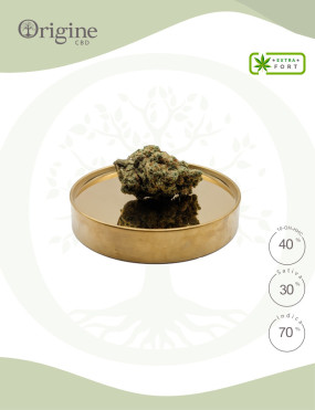 Kush Mints 40 % 10-OH-HHC