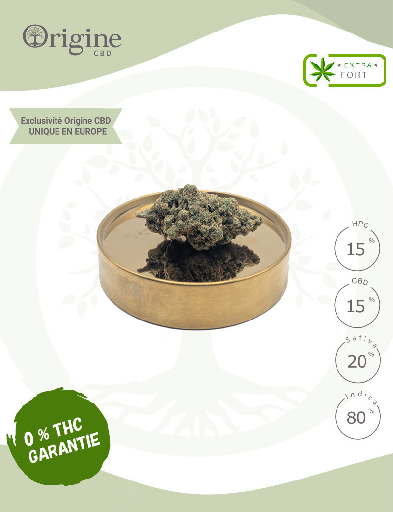 Blueberry Kush 15 % CBD & 15 % HPC (Sans THC) Blueberry Kush 15 % CBD & 15 % HPC (Sans THC)
