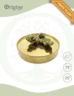 Watermelon BIO CBD 25 grammes