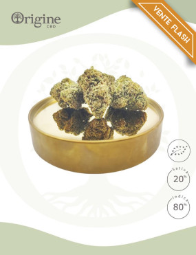 Critical Kush BIO CBD 25 grammes