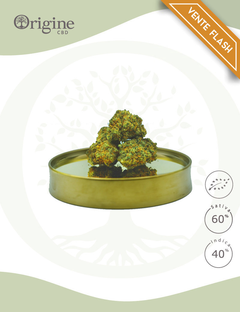 Sour Blueberry BIO CBD Small Buds 25 grammes Sour Blueberry BIO CBD Small Buds 25 grammes