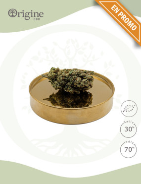 Slurricane BIO CBD