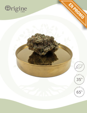 Honey Cream BIO CBD