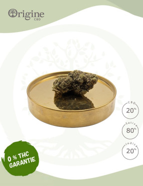 Orange Bud 20 % CBD (Sans THC)