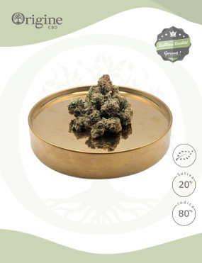 Shiva Skunk Small Bud Bio CBD – Indoor