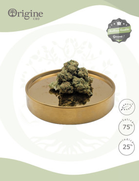 Amnesia US Small Bud Bio CBD – Indoor