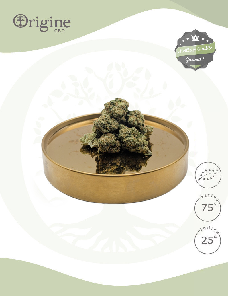 Amnesia US Small Bud Bio CBD – Indoor