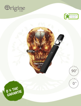 Kit complet Vape Hels O...