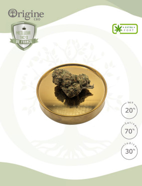 Amnesia Haze 20 % THC-X