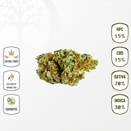 Acapulco Gold 15 % CBD & 15 % HPC (Sans THC)