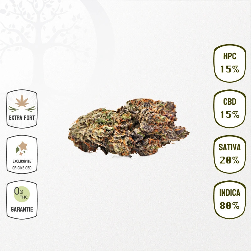 Blueberry Kush 15 % CBD & 15 % HPC (Sans THC)