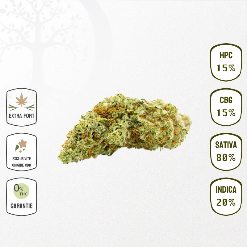 Silver Haze 15 % CBG & 25 % HPC (Sans THC)