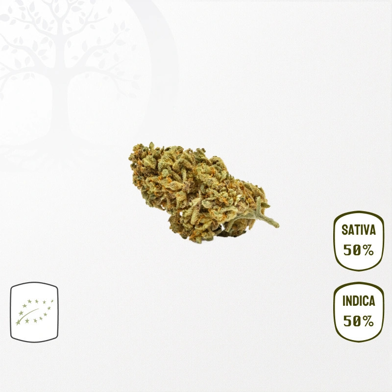 Tutti Frutti BIO CBD