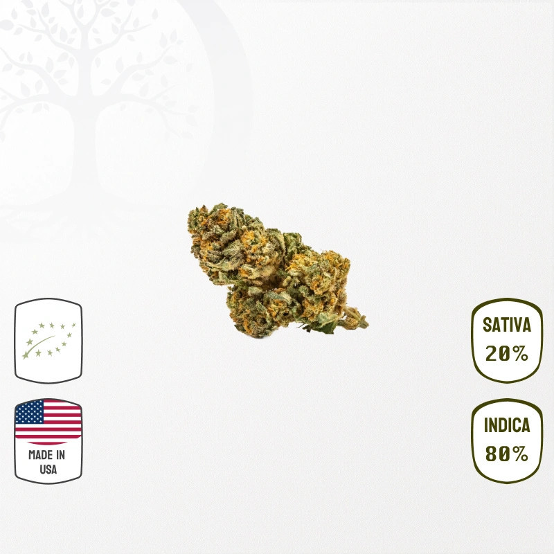 Ice Cream Cake USA BIO CBD