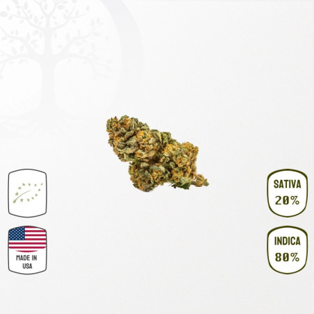 Ice Cream Cake USA BIO CBD