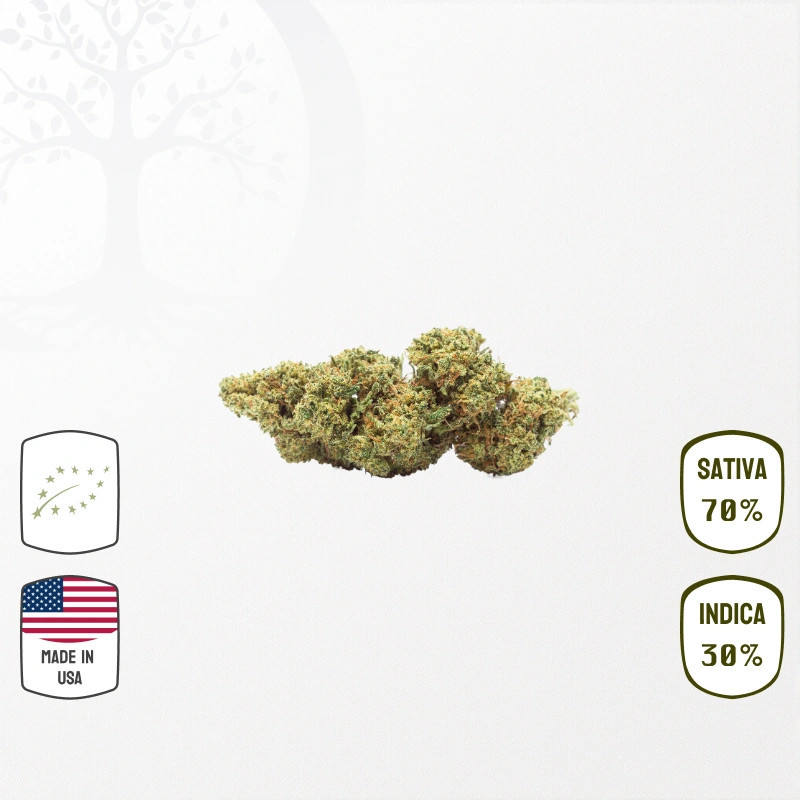 California Haze USA BIO CBD