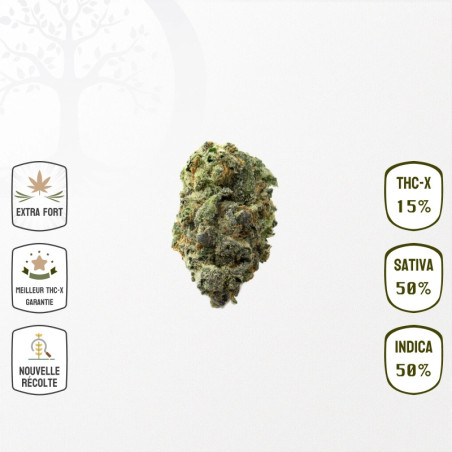 Zkittlez OG 15 % THC-X