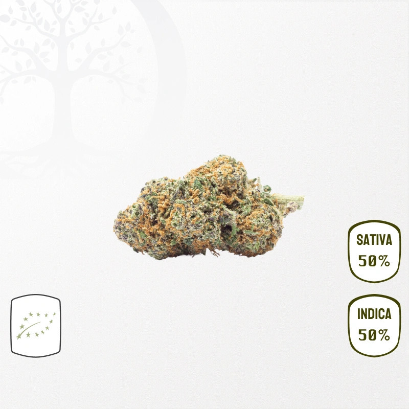 White Frost BIO CBD