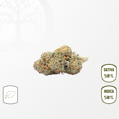 White Frost BIO CBD