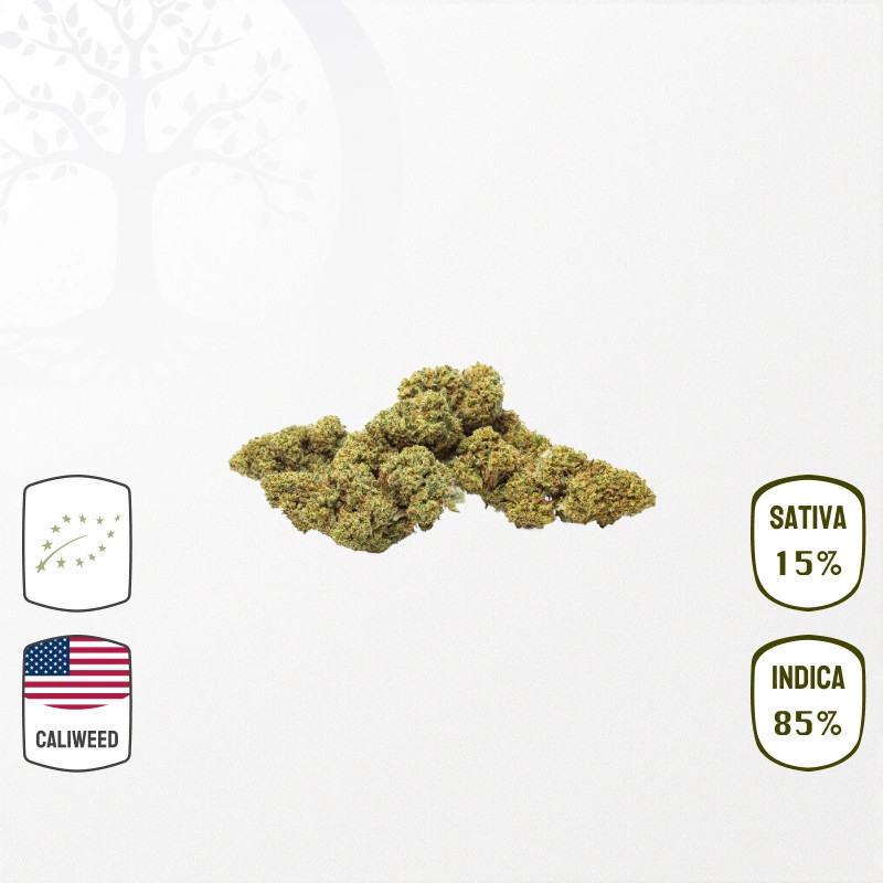 Sunset Sherbet Cali Weed BIO CBD