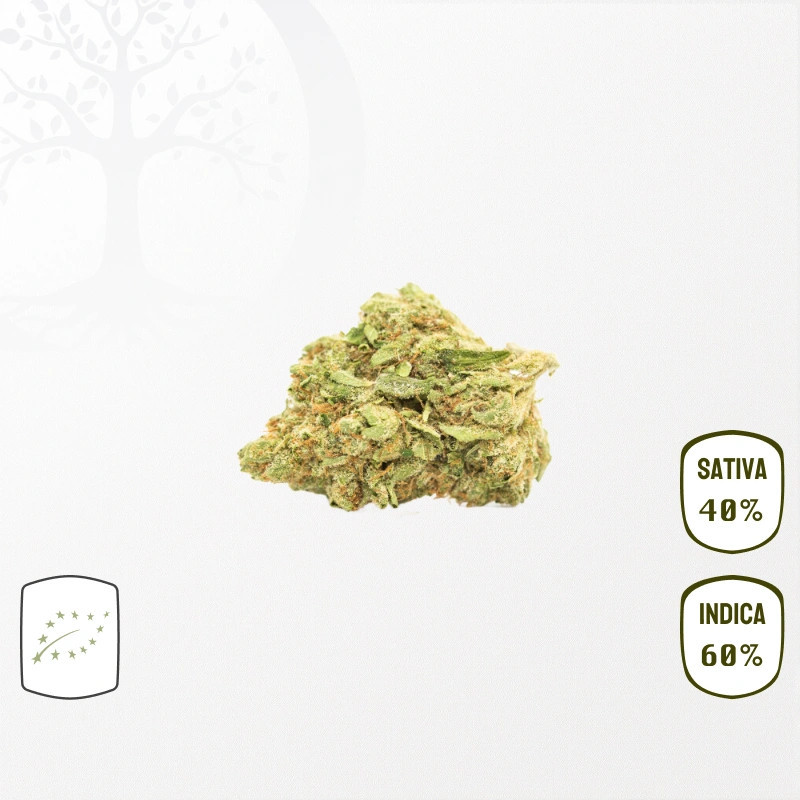 Platinum Cookies BIO CBD