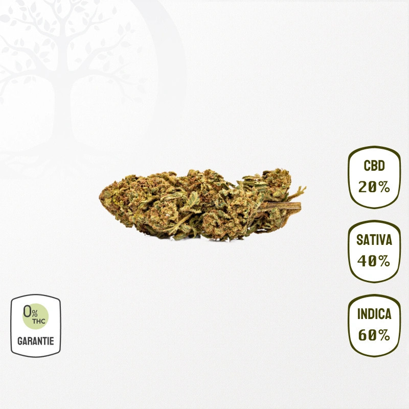 Lemon Berry __d0__ CBD (sans Thc)