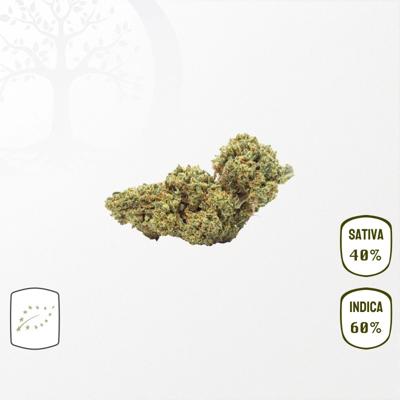 Banana Smash BIO CBD