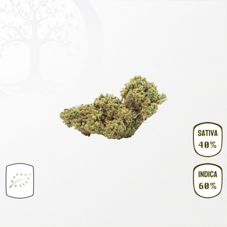 Banana Smash BIO CBD