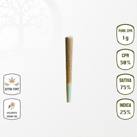 Pré-roulée Cigarette Amnesia 30% CPR