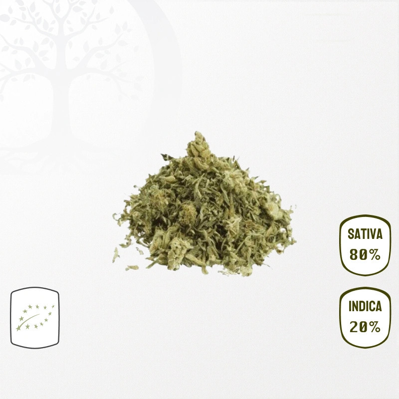 Trim AK-47 Haze Premium