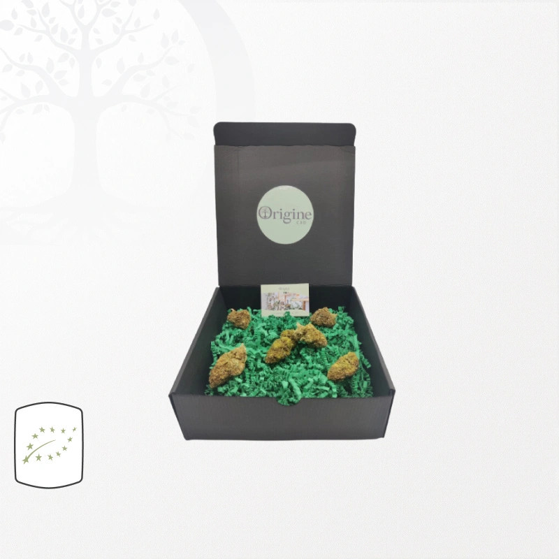 Coffret Découverte Fleurs CBD